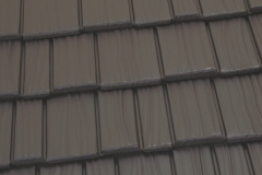 Shake-Gray