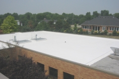 flatroof1