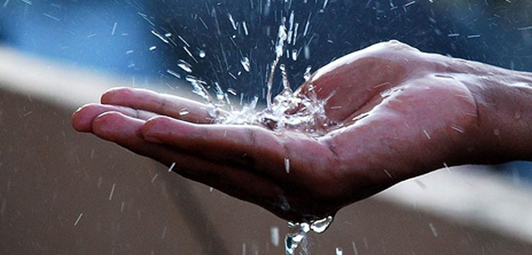 Your Wisconsin Home: Water and Its Trouble Makers
