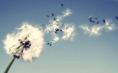 Wind Resistance