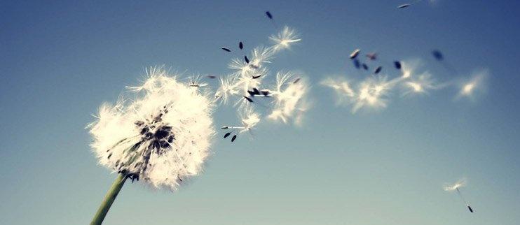 Wind Resistance