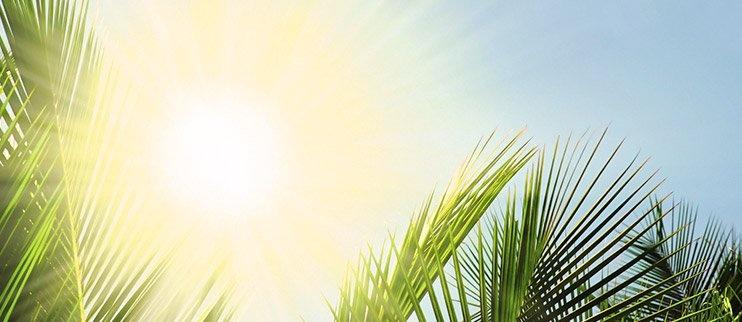 The Right Roof Can Pay You Back With Energy Efficiency