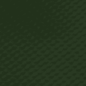 Green-Flat-Roo Green Flat Roof