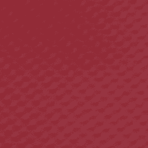Red-Flat-Roof Red Flat Roof