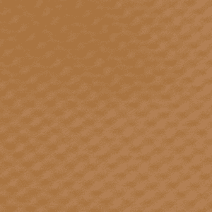 Tan-Flat-Roof Tan Flat Roof